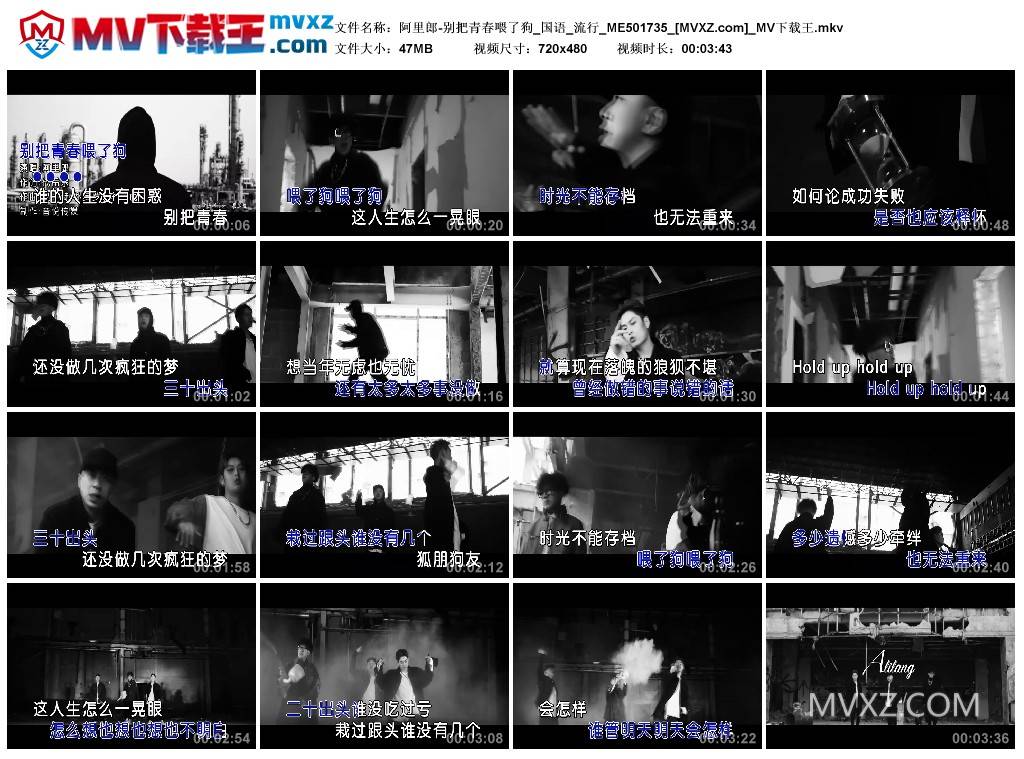 阿里郎-别把青春喂了狗_国语_流行_ME501735